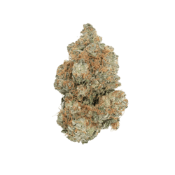 Remexian 30/1 CHE Chem Cookies